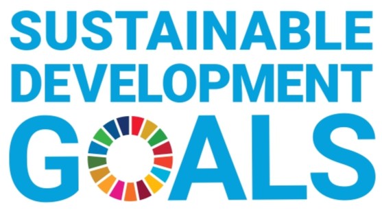 SUSTAINABLE DEVELOPMENT GOALS（持続可能な開発目標）